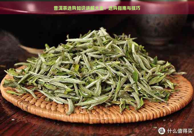 普洱茶选购知识讲解大全：选购指南与技巧