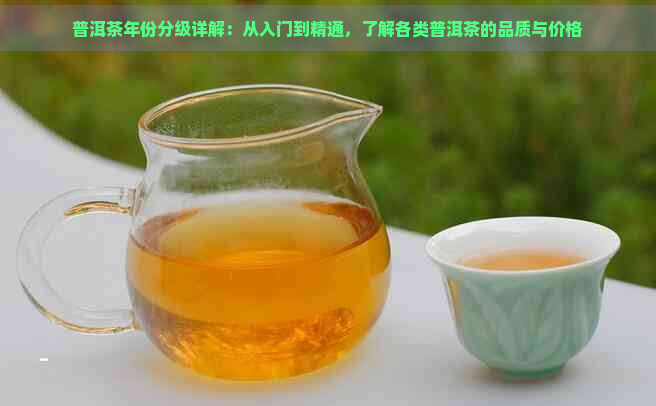 普洱茶年份分级详解：从入门到精通，了解各类普洱茶的品质与价格