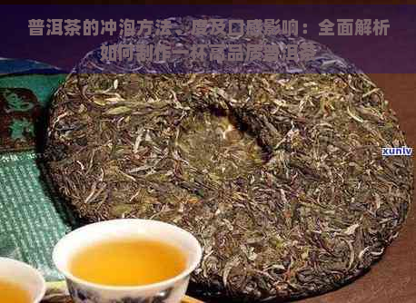 普洱茶的冲泡方法、度及口感影响：全面解析如何制作一杯高品质普洱茶