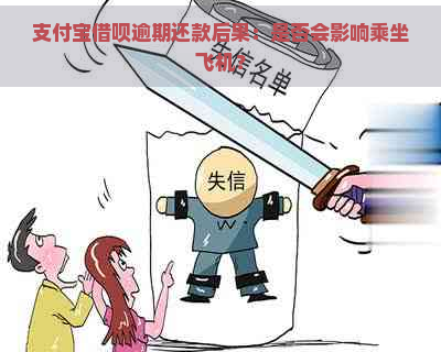 支付宝借呗逾期还款后果：是否会影响乘坐飞机？