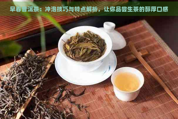 早春普洱茶：冲泡技巧与特点解析，让你品尝生茶的醇厚口感