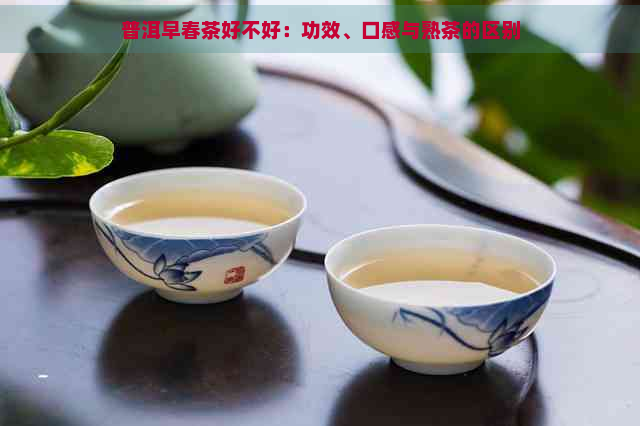 普洱早春茶好不好：功效、口感与熟茶的区别