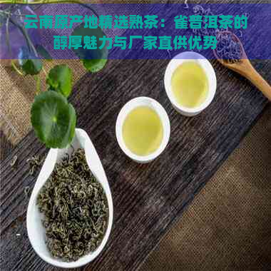 云南原产地精选熟茶：雀普洱茶的醇厚魅力与厂家直供优势