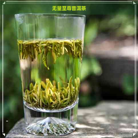 无量至尊普洱茶