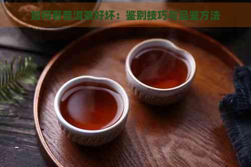 如何看普洱茶好坏：鉴别技巧与品鉴方法