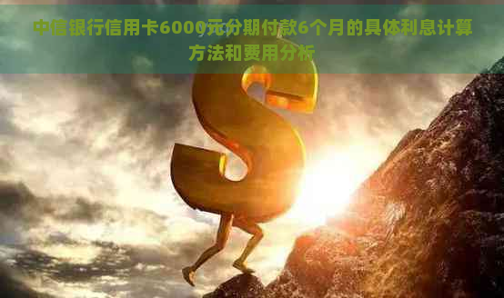 中信银行信用卡6000元分期付款6个月的具体利息计算方法和费用分析