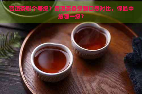 普洱茶哪个等级？普洱茶各级别口感对比，你最中意哪一级？