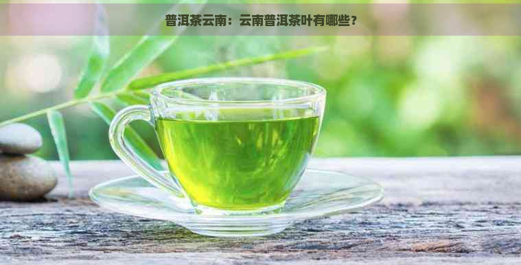 普洱茶云南：云南普洱茶叶有哪些？