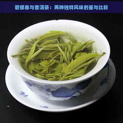 碧螺春与普洱茶：两种独特风味的鉴与比较