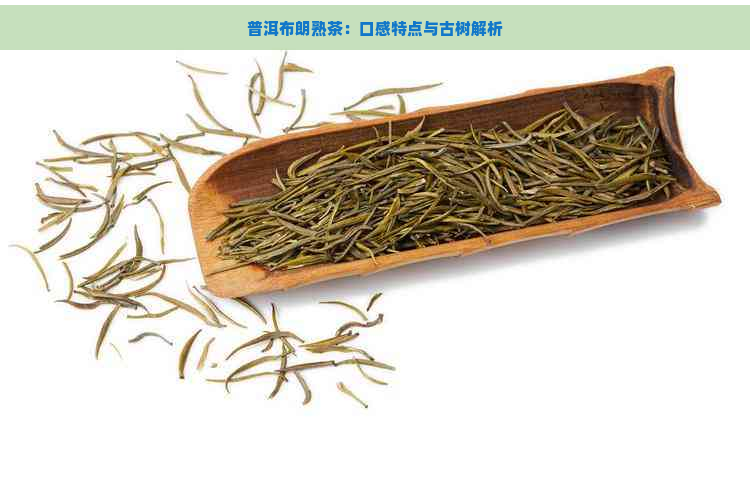 普洱布朗熟茶：口感特点与古树解析