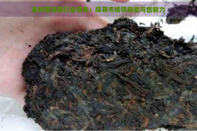 泰州普洱茶行业领先：探寻市场领导者与创新力