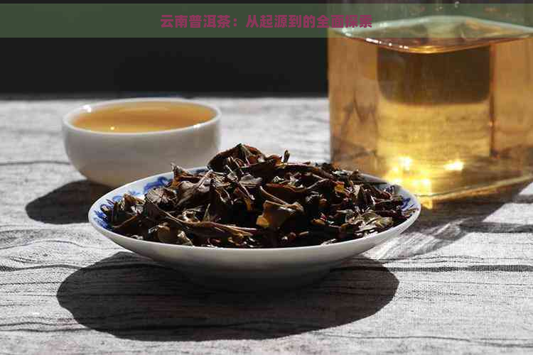 云南普洱茶：从起源到的全面探索