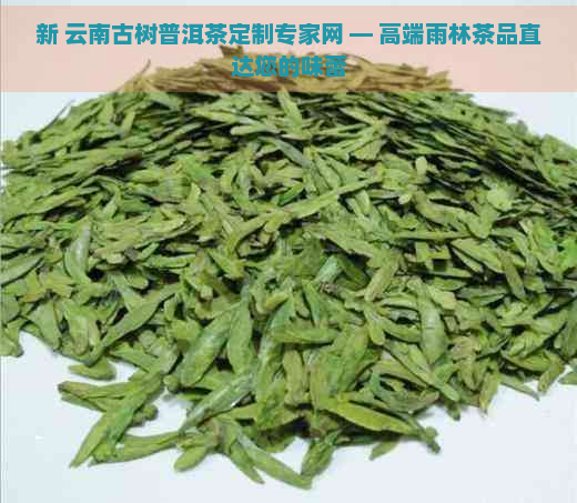 新 云南古树普洱茶定制专家网 — 高端雨林茶品直达您的味蕾