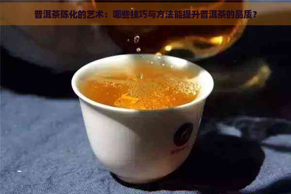 普洱茶陈化的艺术：哪些技巧与方法能提升普洱茶的品质？