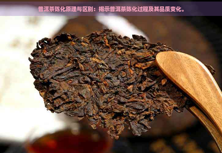 普洱茶陈化原理与区别：揭示普洱茶陈化过程及其品质变化。