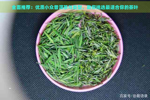 全面推荐：优质小众普洱茶与类型，助你挑选最适合你的茶叶