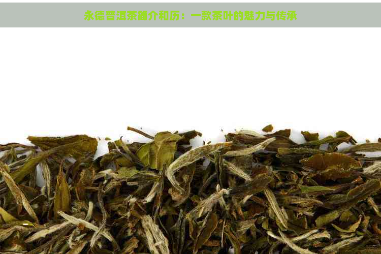 永德普洱茶简介和历：一款茶叶的魅力与传承