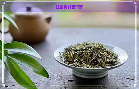 注重树龄普洱茶