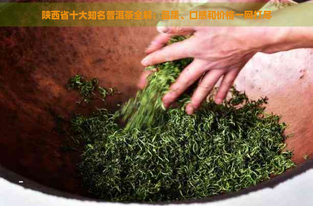 陕西省十大知名普洱茶全解：品质、口感和价格一网打尽