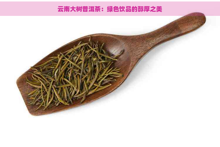 云南大树普洱茶：绿色饮品的醇厚之美