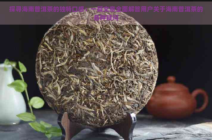 探寻海南普洱茶的独特口感：一篇文章全面解答用户关于海南普洱茶的各种疑问