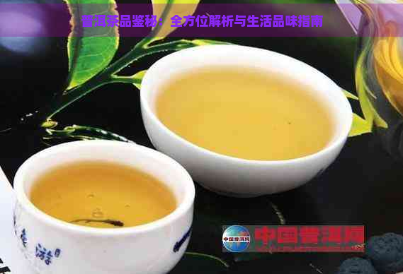 普洱茶品鉴秘：全方位解析与生活品味指南