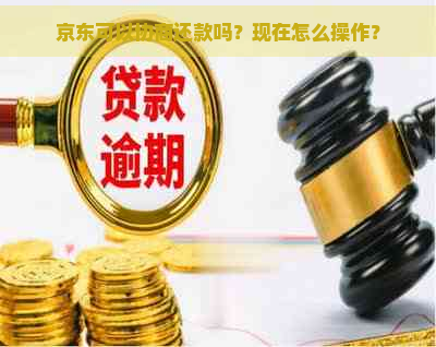 京东可以协商还款吗？现在怎么操作？