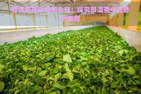 普洱茶花味道怎么样：探究普洱茶中花香的表现