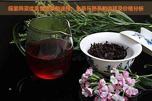 探索购买优质普洱茶的途径：生茶与熟茶的选择及价格分析