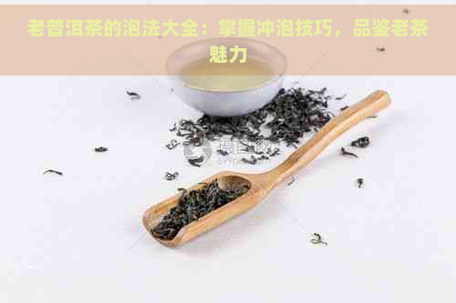 老普洱茶的泡法大全：掌握冲泡技巧，品鉴老茶魅力