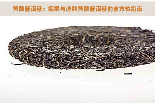 黄陂普洱茶：探索与选购黄陂普洱茶的全方位指南