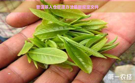 普洱茶入仓管理办法最新规定文件