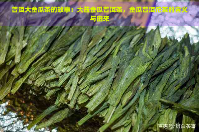 普洱大金瓜茶的故事：大益金瓜普洱茶，金瓜普洱沱茶的含义与由来