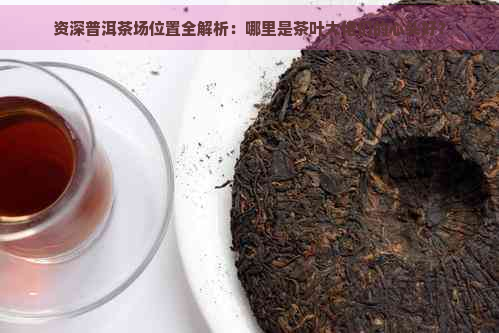 资深普洱茶场位置全解析：哪里是茶叶大佬们的心头好？