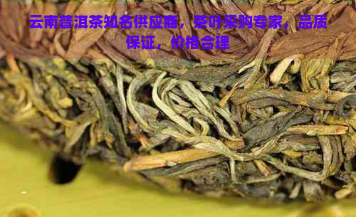 云南普洱茶知名供应商，茶叶采购专家，品质保证，价格合理