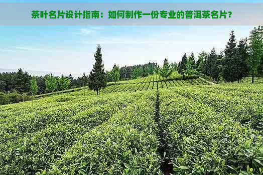 茶叶名片设计指南：如何制作一份专业的普洱茶名片？