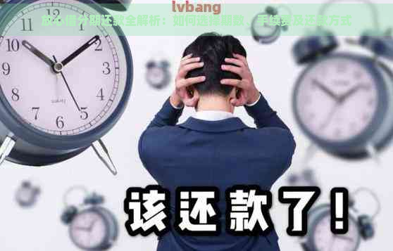 放心借分期还款全解析：如何选择期数、手续费及还款方式