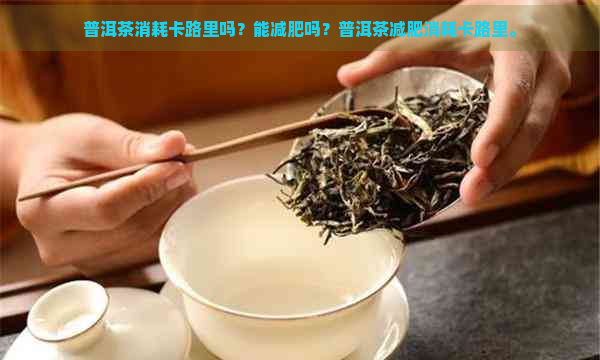 普洱茶消耗卡路里吗？能减肥吗？普洱茶减肥消耗卡路里。