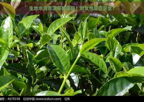 生地水泡普洱茶能喝吗？对女性是否安全？