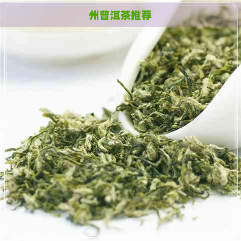 州普洱茶推荐