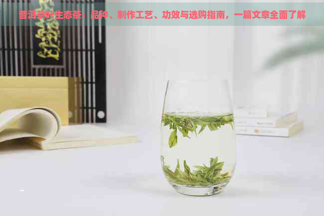 普洱茶叶生态茶：品种、制作工艺、功效与选购指南，一篇文章全面了解