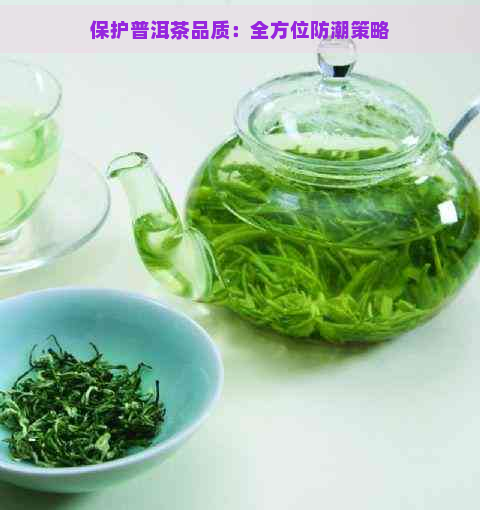 保护普洱茶品质：全方位防潮策略