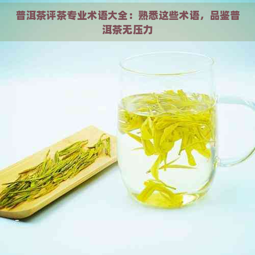 普洱茶评茶专业术语大全：熟悉这些术语，品鉴普洱茶无压力