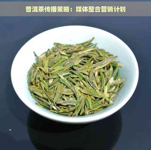 普洱茶传播策略：媒体整合营销计划