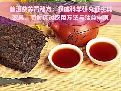 普洱茶养胃秘方：权威科学研究证实其效果，同时探讨饮用方法与注意事项