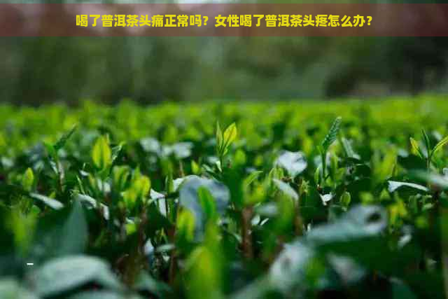 喝了普洱茶头痛正常吗？女性喝了普洱茶头疼怎么办？