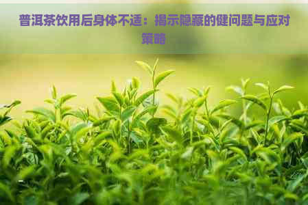 普洱茶饮用后身体不适：揭示隐藏的健问题与应对策略