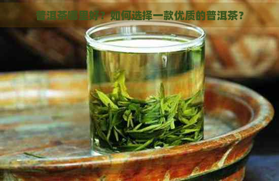 普洱茶哪里好？如何选择一款优质的普洱茶？