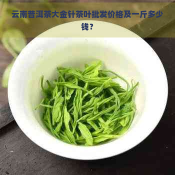 云南普洱茶大金针茶叶批发价格及一斤多少钱？