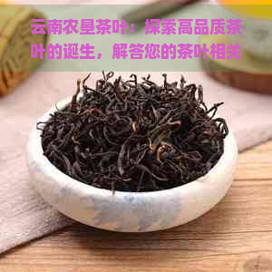 云南农垦茶叶：探索高品质茶叶的诞生，解答您的茶叶相关疑问